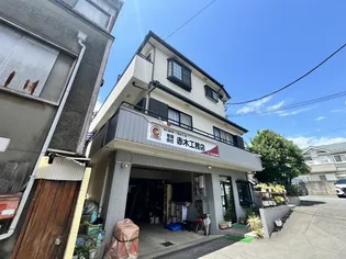 ステラAの画像