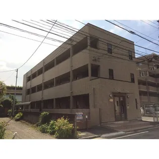アンプルール フェール 梓の画像