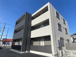 ISLAND ROOTの画像