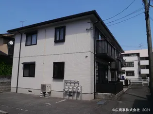 シーゲルカーサの画像