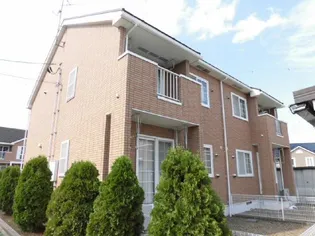 プリムローズDの画像