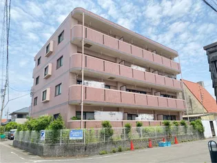 プランタン ドゥの画像