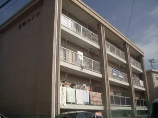 音無ハイツの画像