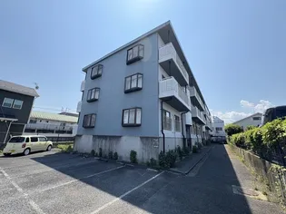 ピースフル18の画像