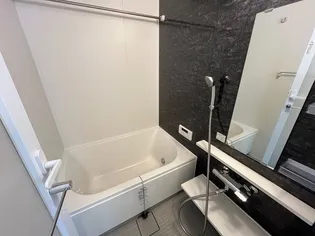 MISTRAL姫路駅前V 忍町【9階】の風呂