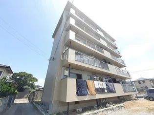 オアシス天領【1階】の外観