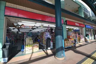 コーポラスマツモト5【4階】の周辺