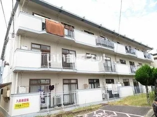 朋栄ハイツ2号館の画像