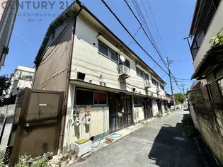 野口文化の画像