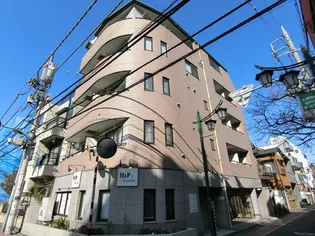 サニーヒル金子の画像