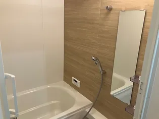 アネシスの画像