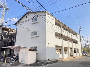 ソフィアSSの画像