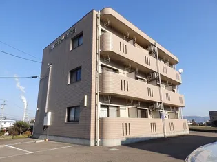 サングリーンゆきの画像