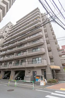 シャルマンの画像