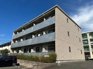 セイリュウ UNの画像