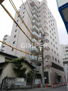 ステラ北進の画像