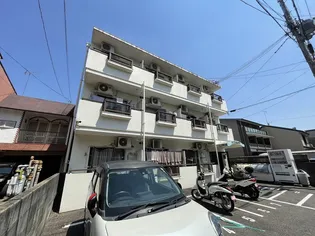 メゾン桐の木の画像