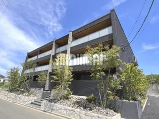 SHAMAISON HEUVELの画像