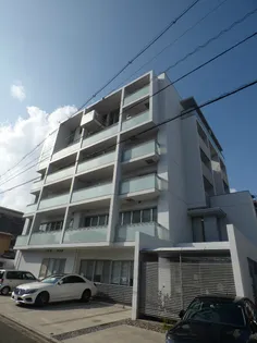 STEPの画像