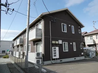 シャッフレIIIの画像