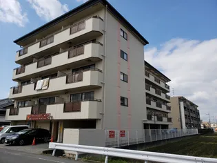 ヴィラ仲川【5階】の外観