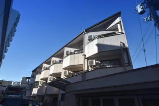 大阪府柏原市国分本町2【マンション】の外観