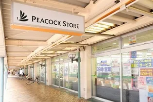 シティテラス柏【9階】の周辺