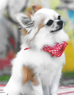 カルペ・ディエム【4階】の内装