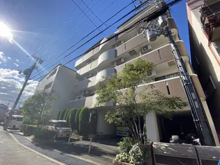 ブランケネーゼの画像