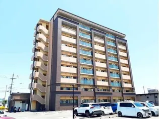 エヴァーグリーンOの画像