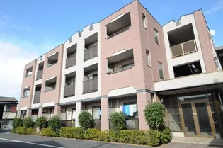 ジョリー柏の画像