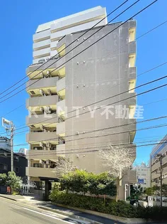 カテリーナ大森の画像