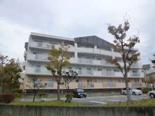 東山台ハイツ202号棟の画像