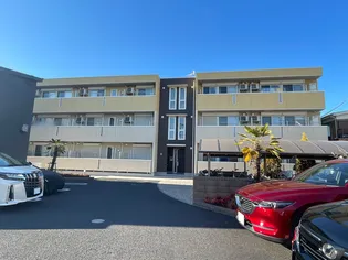 キャンベルの画像