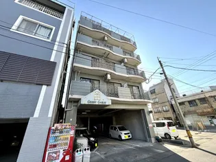 グリーン ゲイブルスの画像