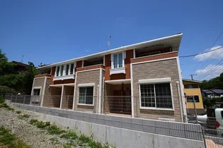 シスコ 椎津の画像