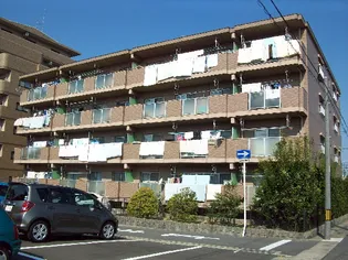 エントピアコートの画像
