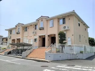 ドミール ボナミの画像