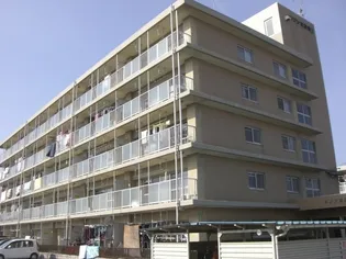 メゾンあおきII【4階】の外観