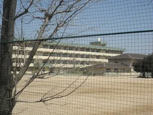 セレスティアル新居浜【6階】の周辺