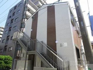 アンバーの画像