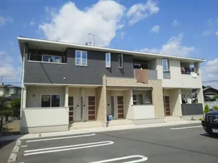 プラシード Tの画像