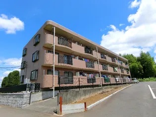 三島屋マンション【3階】の外観