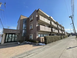 イーストオウギの画像