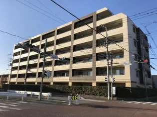 ゼファー武蔵浦和グランリブスの画像