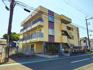 レディースマンション ハイツ西本の画像