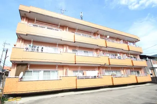 コーポラス糸の画像