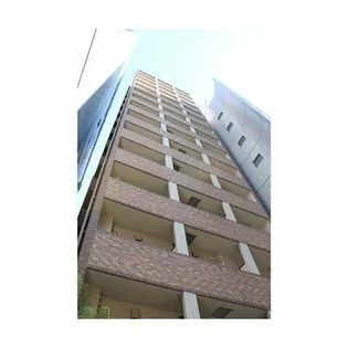 トーシンフェニックス芝アストラーレの画像