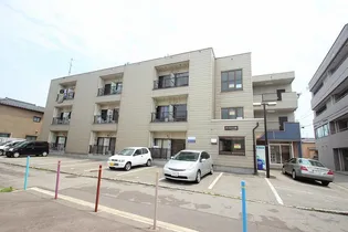 コンフォルト元菊の画像