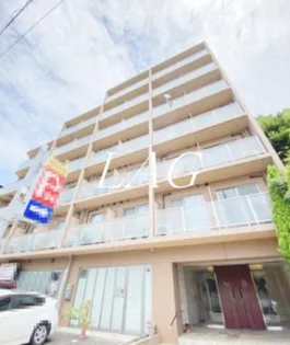 ベルパーシモンの画像